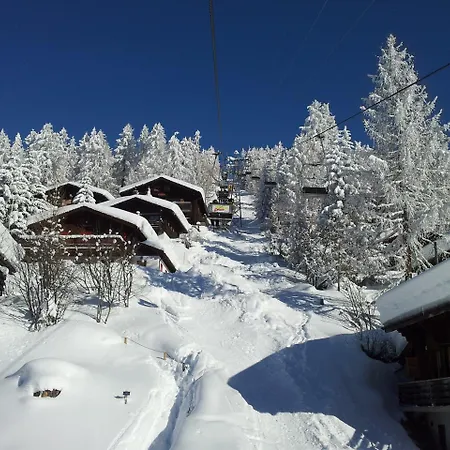 Hotel Bellwald 3*