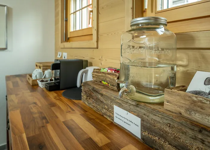 Hotel Hotel Bellwald Bellwald