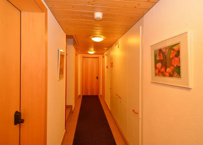 Hotel Bellwald Hotel 3*