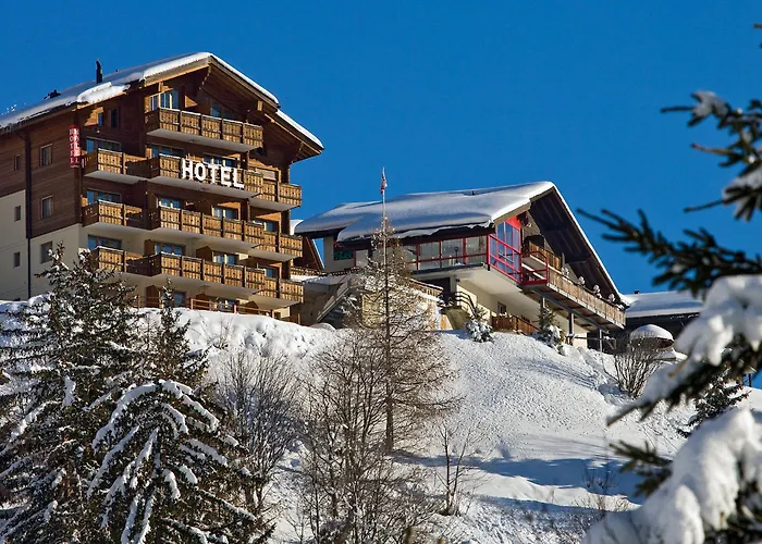 Hotel Hotel Bellwald Bellwald