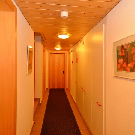 Hotel Bellwald מלון 3*